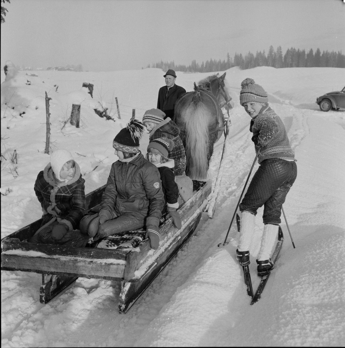 Barn fra Sørum er med Sverre Skallerud og hesten på sledetur  på Tangen vinteren 1975