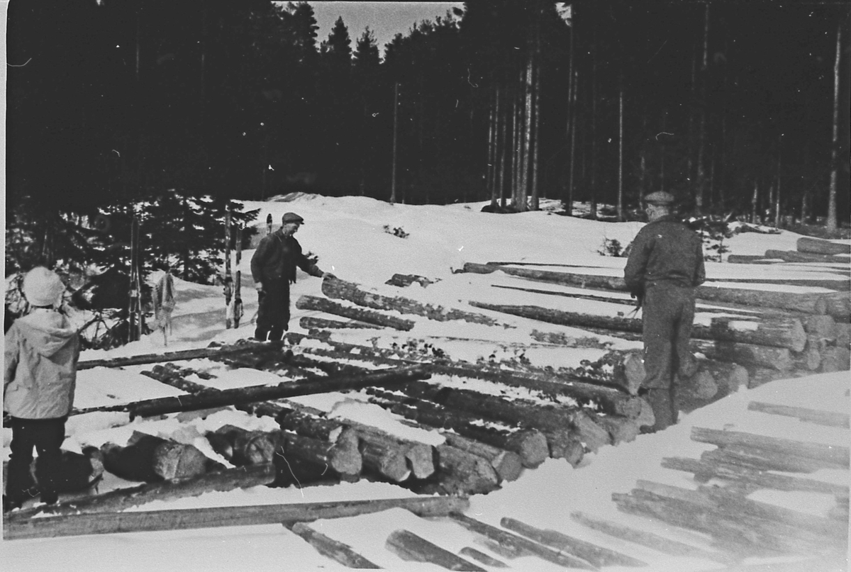 Tømmermerking ved Løken, ca. 1965.