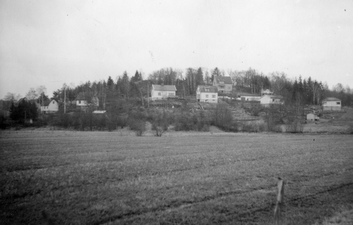 Vy från Alvered mot Torrekulla, cirka 1950. Villorna i fonden ligger på Gamlehagsvägen. I förgrunden ses odlingsmarker.
