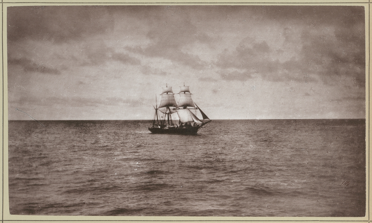 Bilden visar den tyska kanonbåten SMS Wolf till havs. Ångfartyget är riggat som barkentin seglar i medvind.
