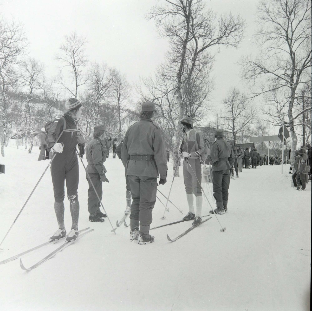 Skiløpere i målområdet.