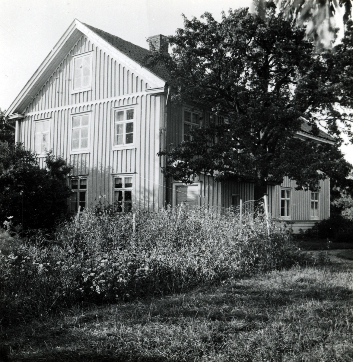 Riksdagsman Alfred Peterssons gård, mangårdsbyggnadens baksida.