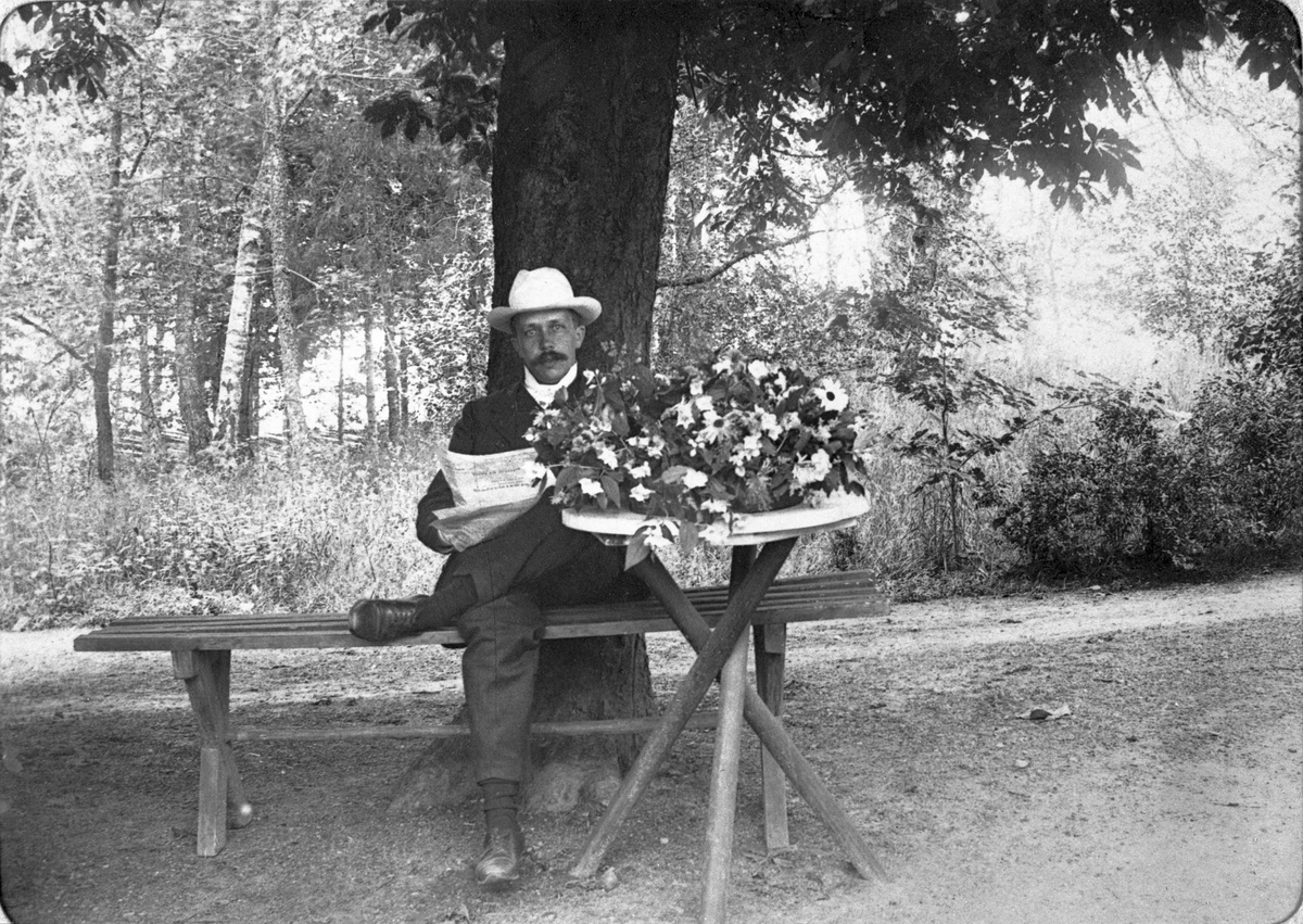 Knut Björlingson sitter och läser under ett stort kastanjeträd, vid ett bord med blommor på, utanför Hertha Björlingsons barndomshem i Tångerda.