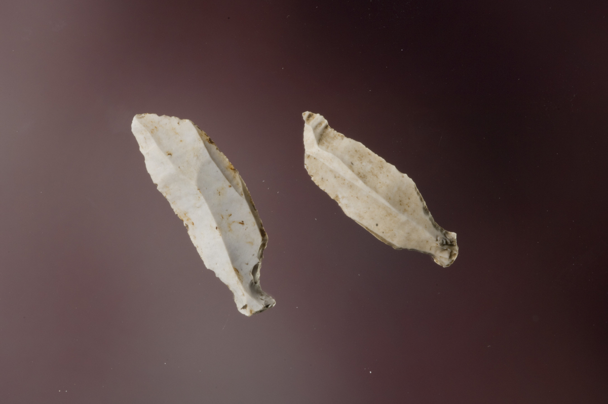 b   To tangespissar og eit fragment av tangespiss av flint, alle type A2. St.l.: 23-31mm St.br.: 10-13mm St.t.: 3-4mm.  Fnr. 19, 67 og 91.