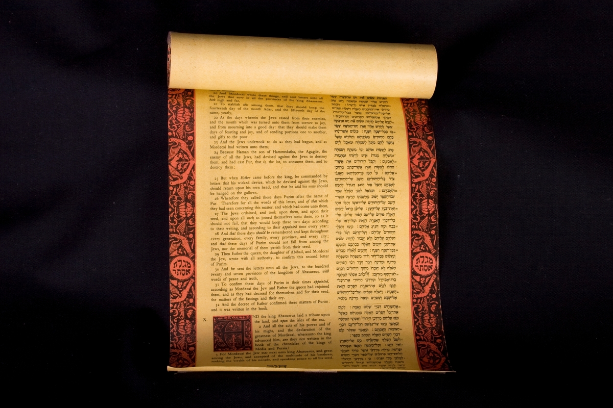 Liten Megillat Ester som är tryckt på papper och skriven på längden. Texten är skriven på engelska och hebreiska, med röda och svarta dekorationer i kanterna.