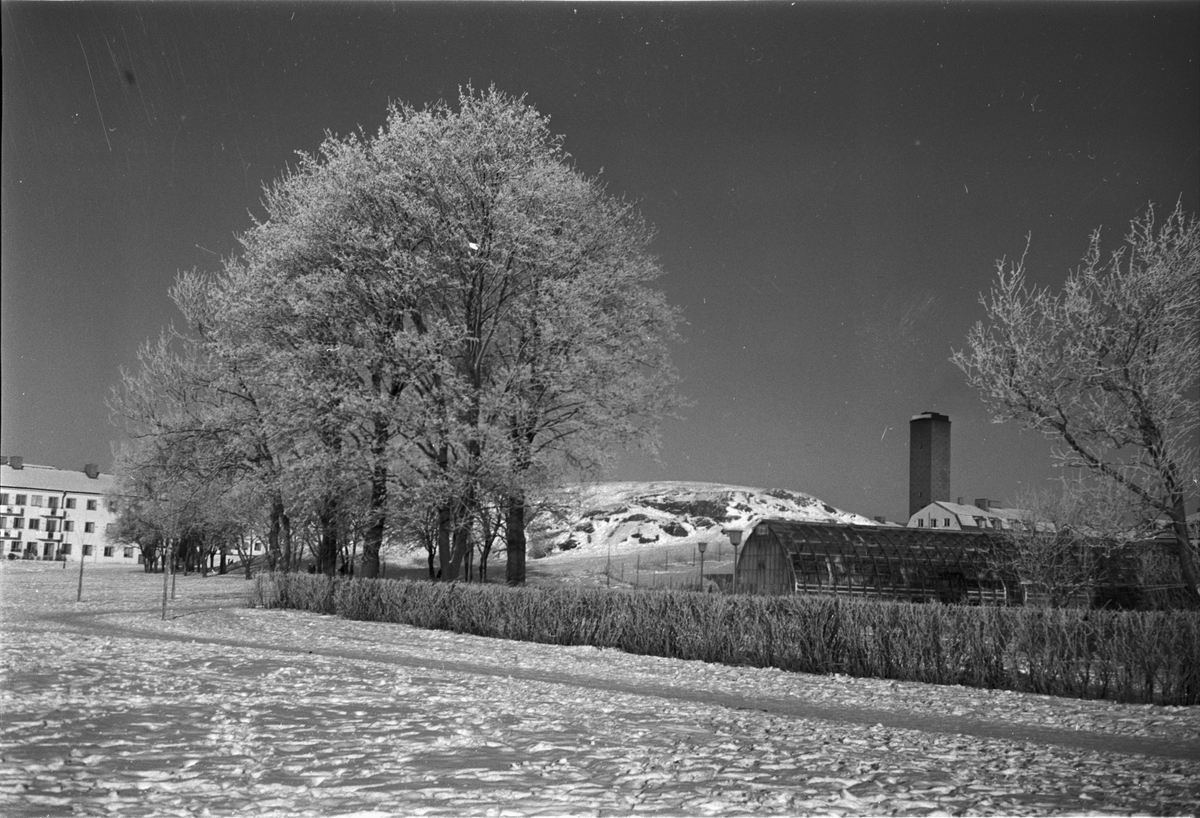 "Skomakarberget och bebyggelse i snö", Uppsala 1956