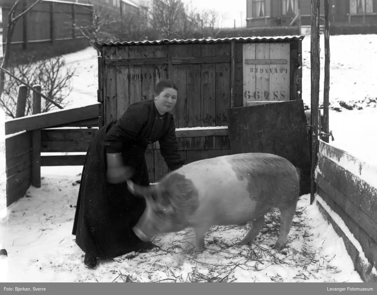 Portrett av kvinne med gris, utendørs, vinter