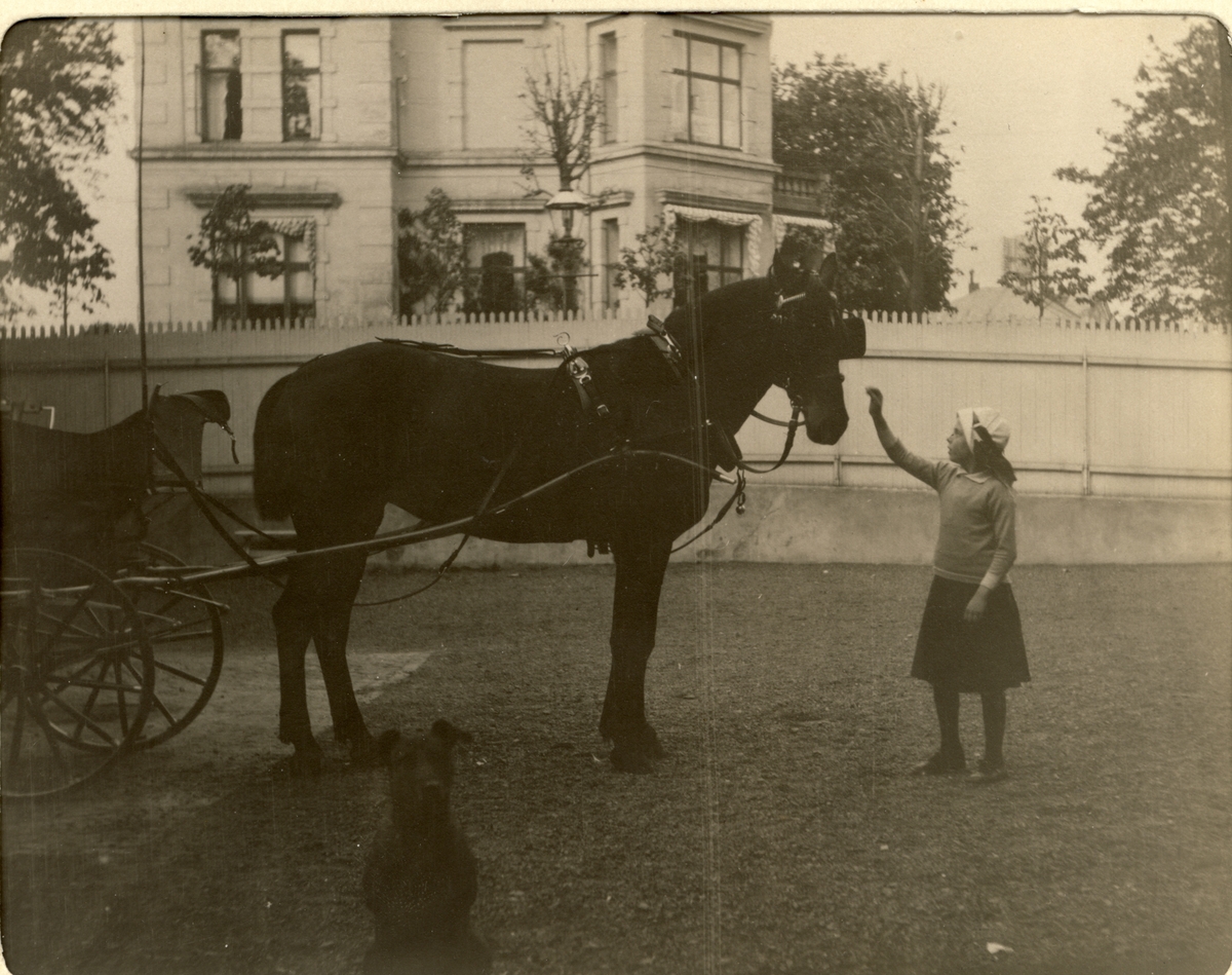 Mimi Egeberg hilser på kjørehesten "Coquette" utenfor boligen i Kruses gate 8 i Oslo. I forgrunnen sitter en hund. Fotografert 1914.