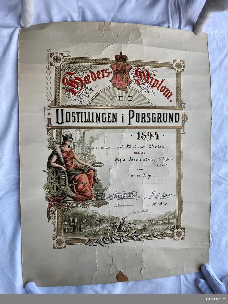 Diplom tildela Signe Thorsteinsdtr. Myhre under Udstillingen i Posgrunn 1894. Naturkvit botn med trykt motiv og påskrift. Border, rosetter, kvinnefigur og landsbruks- og industrimotiv.