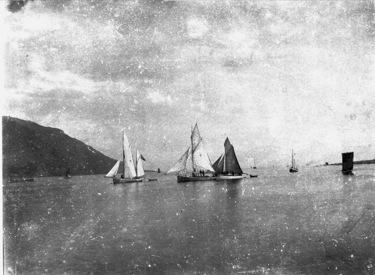 Seilbåter på fjorden under "Harstadregattaen" i 1891.