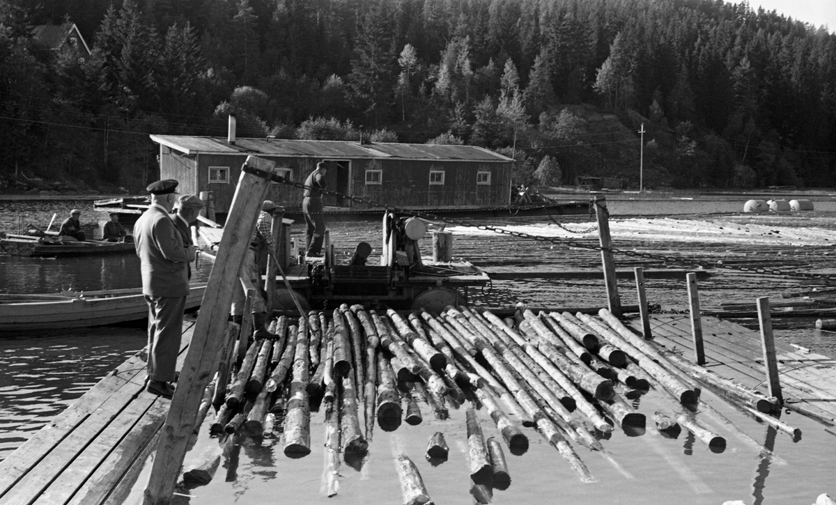 Tur til Haldenvassdraget 20/8 1956. Skulerud lense. Martinsens soppeapparat. Thurmann og Skullerud på lensa ( landgang) Tømmer, fløter i arbeid. "Langt" hus på lensa.