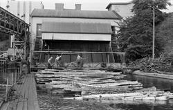 Tur til Haldenvassdraget 29. -30/8 1962. Tømmerinntak Saugbr