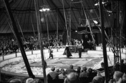 «På Arnardo sirkus 23.08.1957»