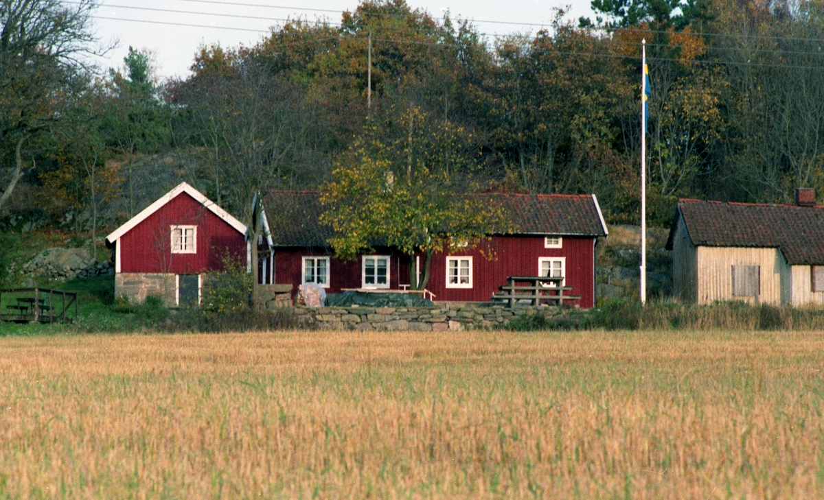 Hembygdsgården Långåker 1:3, cirka 1985 - 1990. Till höger skymtar Långåker 1:2 "Davids", "Derras".