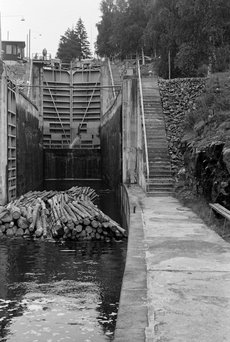 Tur til Haldenvassdraget 29. -30. august 1962. Brekke sluser.

Brekke sluser har en løftehøyde på hele 27 meter fordelt på 4 slusekammere, så kamrene er djupe og portene er høye.  Slusekamrene er utført i armert betong, portene av stål.  Brekke sluser har mekanisk manøvrering av sluseporter og av omløpsrør som ble brukt når vannmassene skulle forflyttes fra ovenforliggende til nedenforliggende slusekammer. I tillegg hadde sluseportene ved Brekke luker som kunne åpnes og lukkes med muskelkraft, via sveiver på toppen av sluseportene.  Vanligvis brukte slusemannskapene omløpskanalene, som gikk rundt portene og hadde utløp i en kanal med overliggende rist langs midten av golvet i slusekammeret (jfr. SJF-F.009258), når vannet skulle flyttes fra et slusekammer til et annet.  Dette gav mindre bølger enn bruk av lukene i sjølve sluseportene gjorde.  Disse ble vanligvis bare brukt til justeringer av vannstrømmen. 

Dette er det tredje sluseanlegget som ble bygd ved Brekke.  Det første, som den kjente vassdragstekniske pioneren Engebret Soot (1786-1859) hadde idéen til, ble bygd i slutten av 1850-åra av stedlig stein med rosentorv som tettingsmateriale i murverket.  Dette sluseanlegget ble ødelagt under flom alt i 1861.  I perioden 1873-1877 bygde det statlige Kanalvesenet et nytt sluseanlegg ved Brekke, også dette med fire slusekamre, men åpenbart mer solid enn det første.  Fredrikshald (Halden) kommune sikret seg fallrettigheter ved Brekke alt i 1904.  Det varte imidlertid helt til 1918 før kraftutbyggingsprosjektet her ble påbegynt.  I åra som fulgte ble det bygd en massiv betongdam ved Brekkefossen som var 110 meter lang, og som på grunn av vanskelige grunnforhold måtte få en høyde på opptil 38 meter.  Kraftverksdammen hevet med andre ord vannspeilet i den ovenforliggende delen av Stenselva kraftig, slik at det ble nødvendig å bygge et helt nytt sluseanlegg.  Dette ble altså utført i armert betong, med stålporter og hydraulisk styring.
