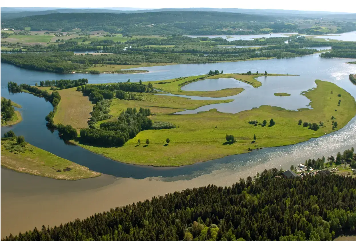 Foto: Øystein Søbye/norsknatur.no