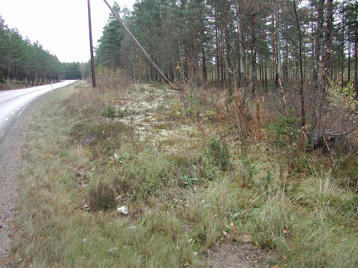 Foto i samband med arkeologisk utredning av väg 67, Valbo sn.
Äldre landsväg (9) fr SV.