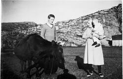 Rasmus og Andrianna Aune på vollen med kua, Osen