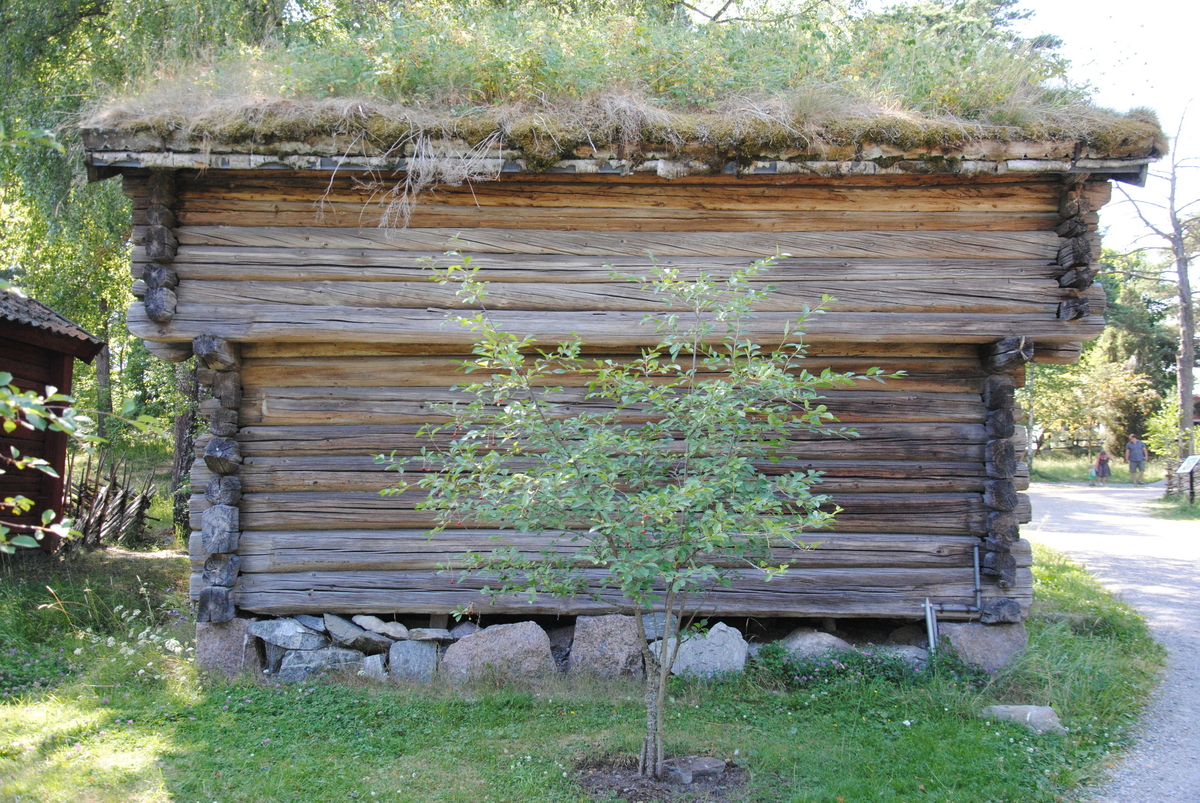 "Bondkörsbär från Solvik" samlades in 2002 från torpet Solvik på Ängsö. Givaren flyttade till Solvik på 1950-talet och då växte körsbäret där. Givaren använde bären till saft. Körsbäret växer idag bakom mangårdsbyggnaden på bondgården på museet. 
