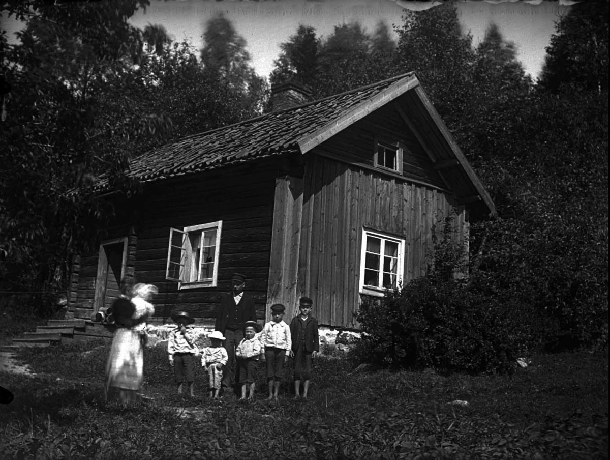 "Äpple från Björnmyran" är insamlat 2005 från torpet Björnmyran, Lillhärads socken norr om Västerås i och med den torp- och kulturväxtinventering som gjordes 2004. Insamlingen till museet skedde dels för att få historiskt växtmaterial och dels för att få en chans att sortbestämma de fruktträd som fanns vid torpen vid sekelskiftet 1800 - 1900. Vid inventeringen hittades päron, äpple, körsbär, svarta vinbär, parksmultron och brandlilja. Äppelträdet stod sydväst om husgrunden. Det är inte känt hur gammalt trädet är. Mer information finns i rapporten ”Krusbär eller måbär – vem bryr sig? Västmanlands läns museum, Kulturmiljöavdelningen rapport A 2004:A61.

Äpplet växer idag i soldattorpets fruktträdgård på museet. Det första trädet som planterades ut 2012 fick skador av sorkangrepp och dog 2018. Innan det dog togs ympris och nu är ett nytt träd utplanterat på platsen. 2016 sortbestämdes äpplet till eventuellt `Husmoder´. 2017 ansåg pomologen att det är en frösådd. 