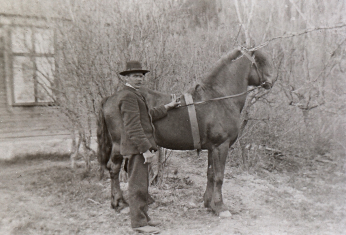 Martin Gustav Surlien f. 1883 var gårdbruker på Pytte. Han holdt hingsten Ruman for Tuft og Komnes Hesteierlag.