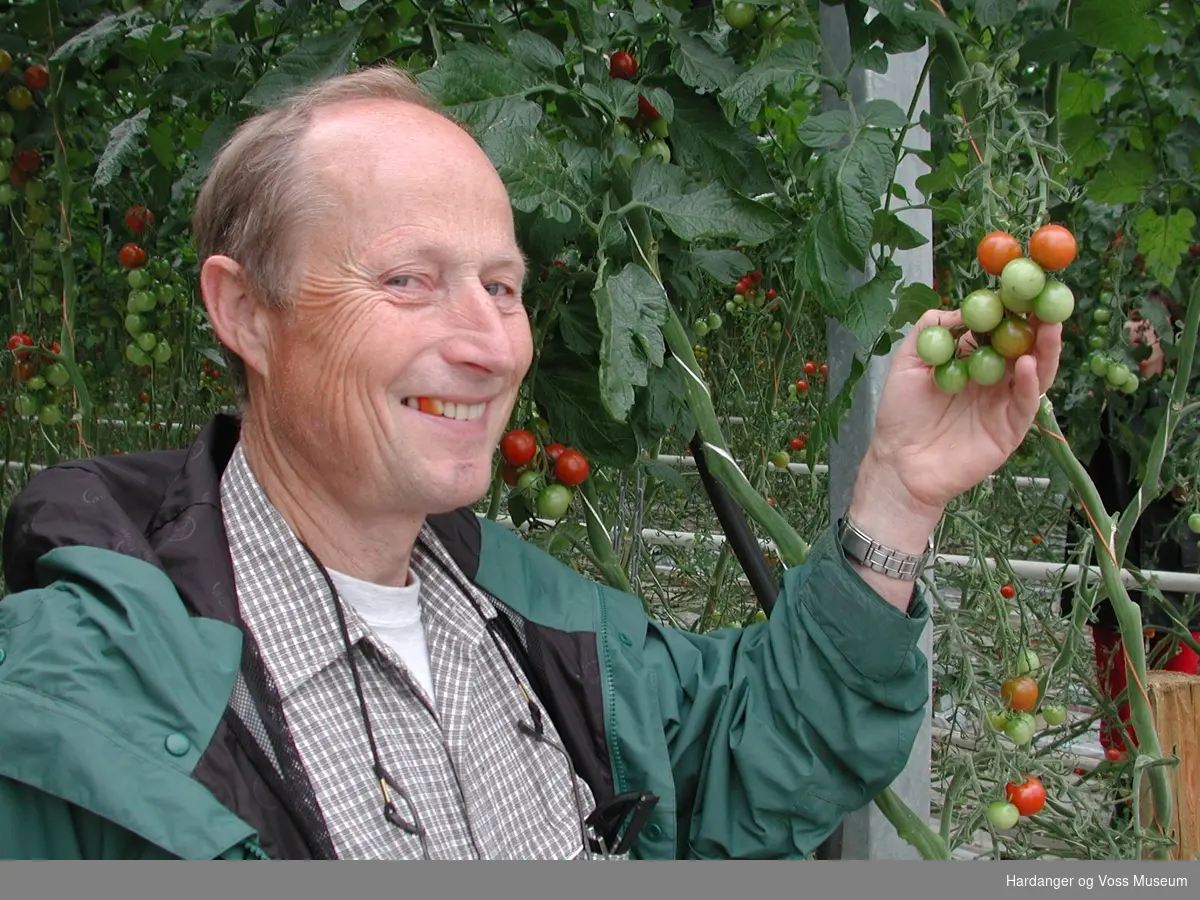 Portrett, mann med tomater