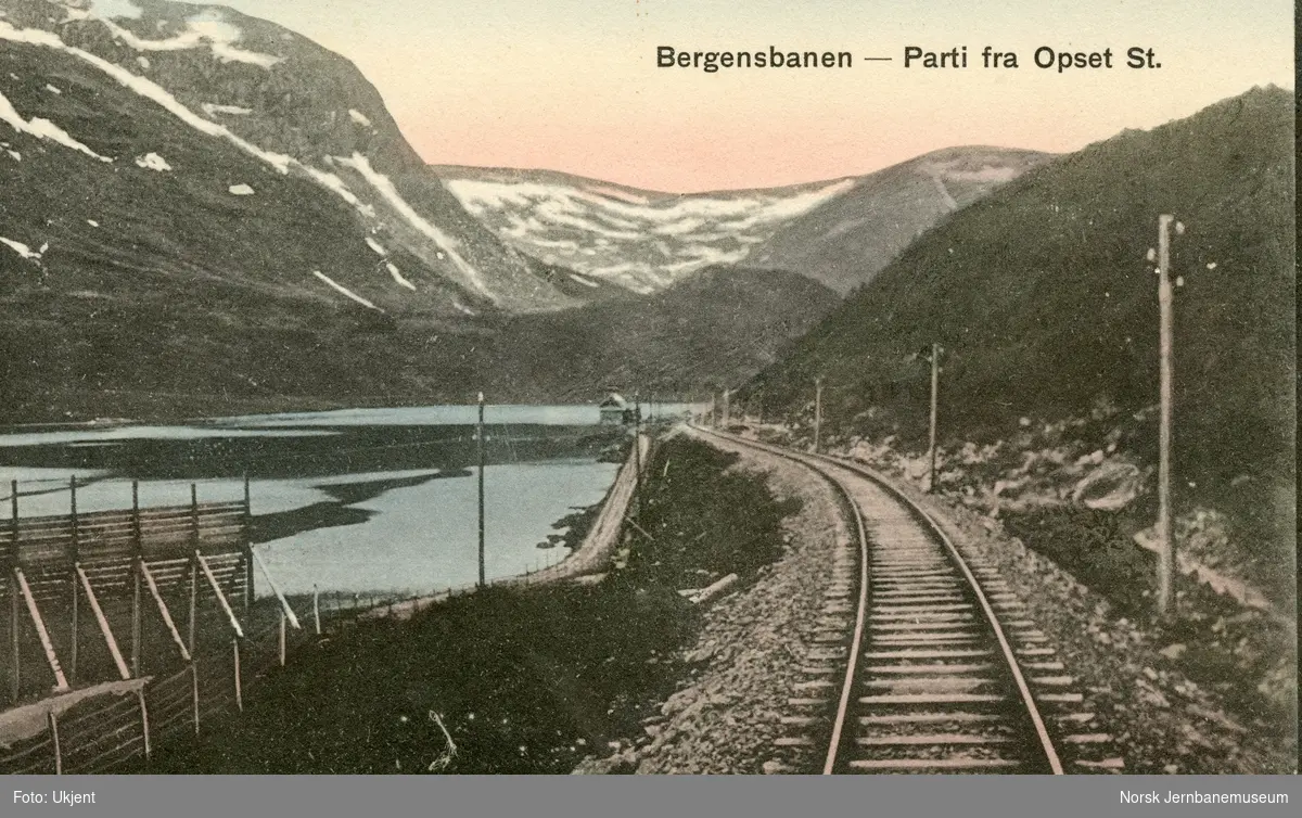 Parti fra Bergensbanen ved Upsete
