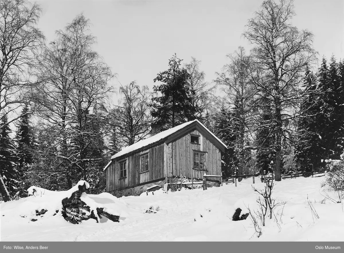 husmannsplass, snø, trær