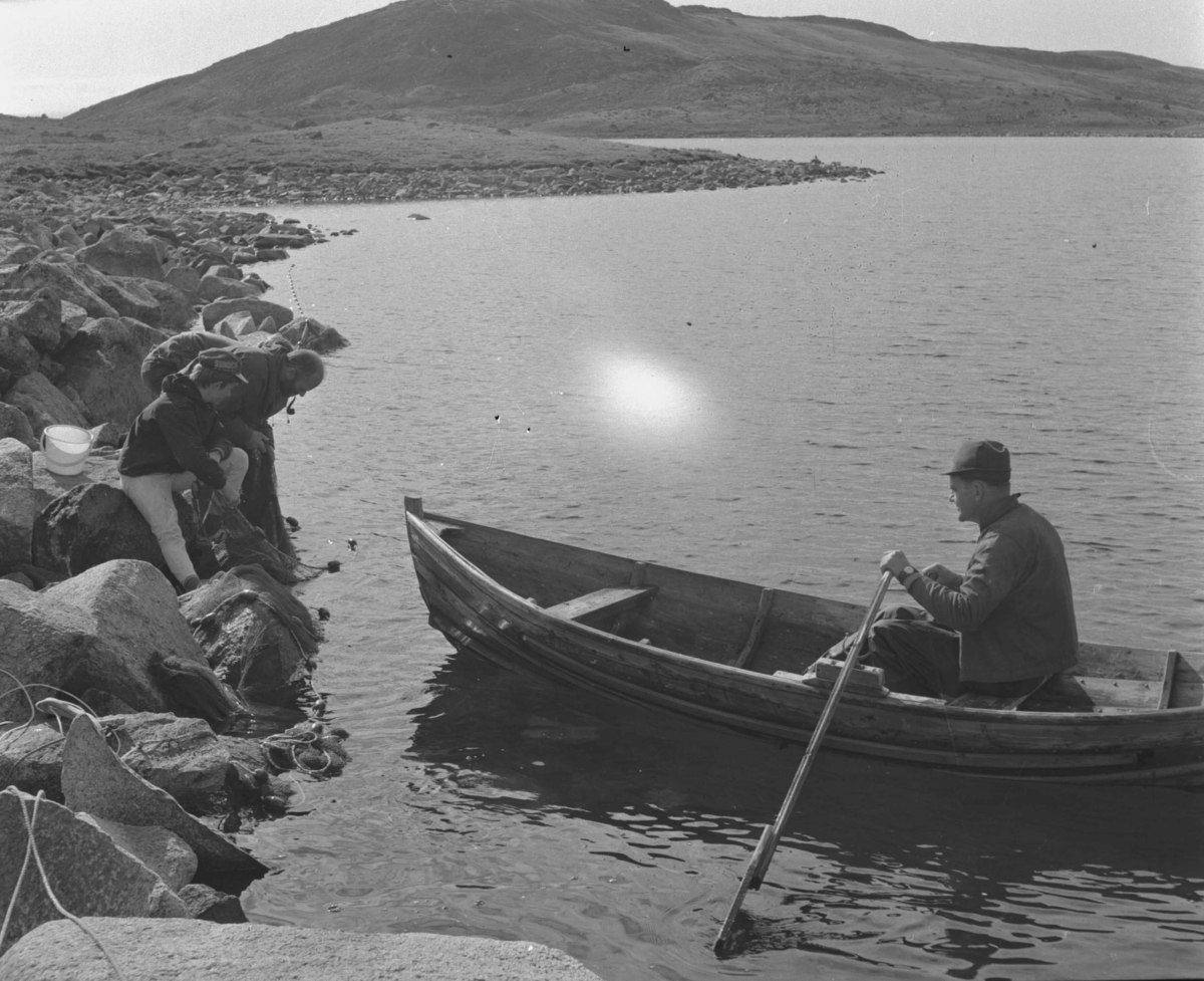 Alvdal, Kvislåtjønna, Vestfjell, Fisking fra båt med garn