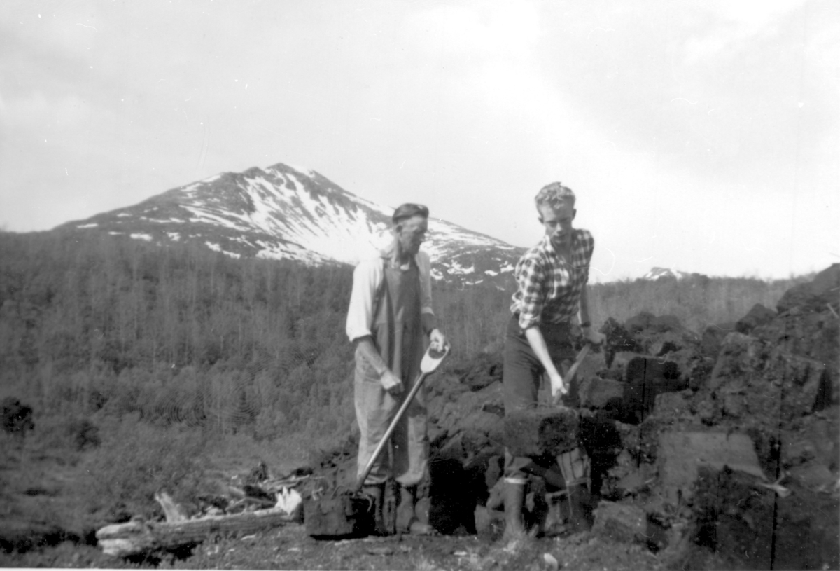 Far og sønn i torvedammen. Kornelius og Martin Arne Jensen, Skjærvik i Senja. 1961.