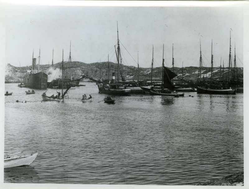 Vårsildfisket i 1890-årene. Notsteng