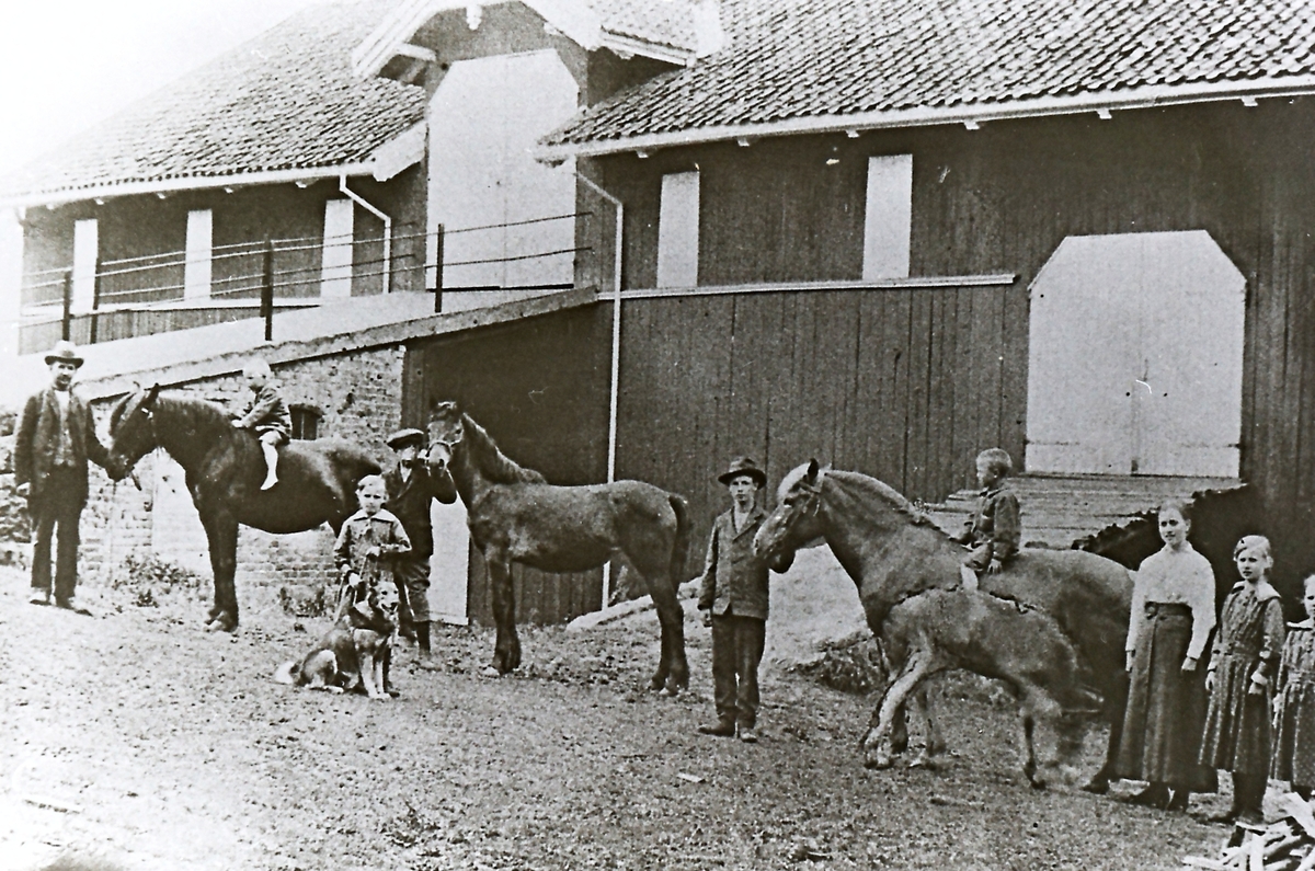 Gårdens hester, hunder og folk. Bonden sjøl Johannes Olsen Lindtvedt f. 1874, Paulus Lindtvedt f. 1912, Kristian Lindtvedt f.1902, Julie Lindtvedt f.1908, Michal Lindtvedt f.1899, Ragnvald Lindtvedt f. 1910, Anna Torestuen (hustru) f. 1895, Marta Lindtvedt f.1904 og Margrete f. 1906.