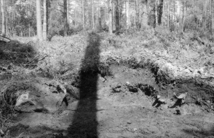 Undersökningar efter stormen Gudrun. Raä 74, rotvälta 203, profil mot graven. Från sydväst.