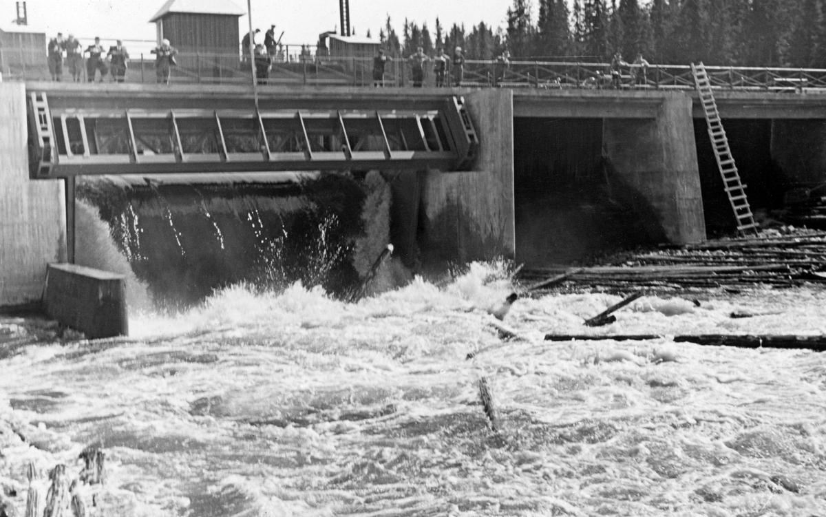 Fra første tapping gjennom Osdammen, den nye reguleringsdammen som ble innviet ved utløpet av Osensjøen ved Valmen i Nordre Osen i Åmot, Hedmark i 1939. Fotografiet er tatt i motstrøms retning, mot en betongdam der vannet og tømmerstokkene fra innsjøen rant over en terskel og ned i elva Søndre Osa, der fløtingsvirket i første omgang ble liggende i et strømkav. Ettersom dette fotografiet ble tatt den første dagen dammen var i drift, var en del mann samlet på dambrua for å se hvordan anlegget fungerte.

Dammen ble bygd  for å kunne kontrollere vannstrømmen ut fra Osensjøen, dels for å hindre skadeflommer i den nærmest nedenforliggende delen av vassdraget og for å kunne forsyne nedenforliggende kraftverk med nødvendig vann også i lavvannsperiodene på ettervinteren og tidlig i vårsesongen.

Damprosjektet skapte også muligheter for ei bru som åpnet for gjennomgangstrafikk langs Osensjøens vestside. Etter forhandlinger med Glommen og Laagens brukseierforening om veg på damkrona vedtok fylkesvegstyret i 1937 å betale de merutgiftene dette var kalkulert å ville påførte utbyggerne – 12 010 kroner – over tre år. 

Mer informasjon om hvordan denne reguleringssaken ble fremmet finnes under fanen «Opplysninger».