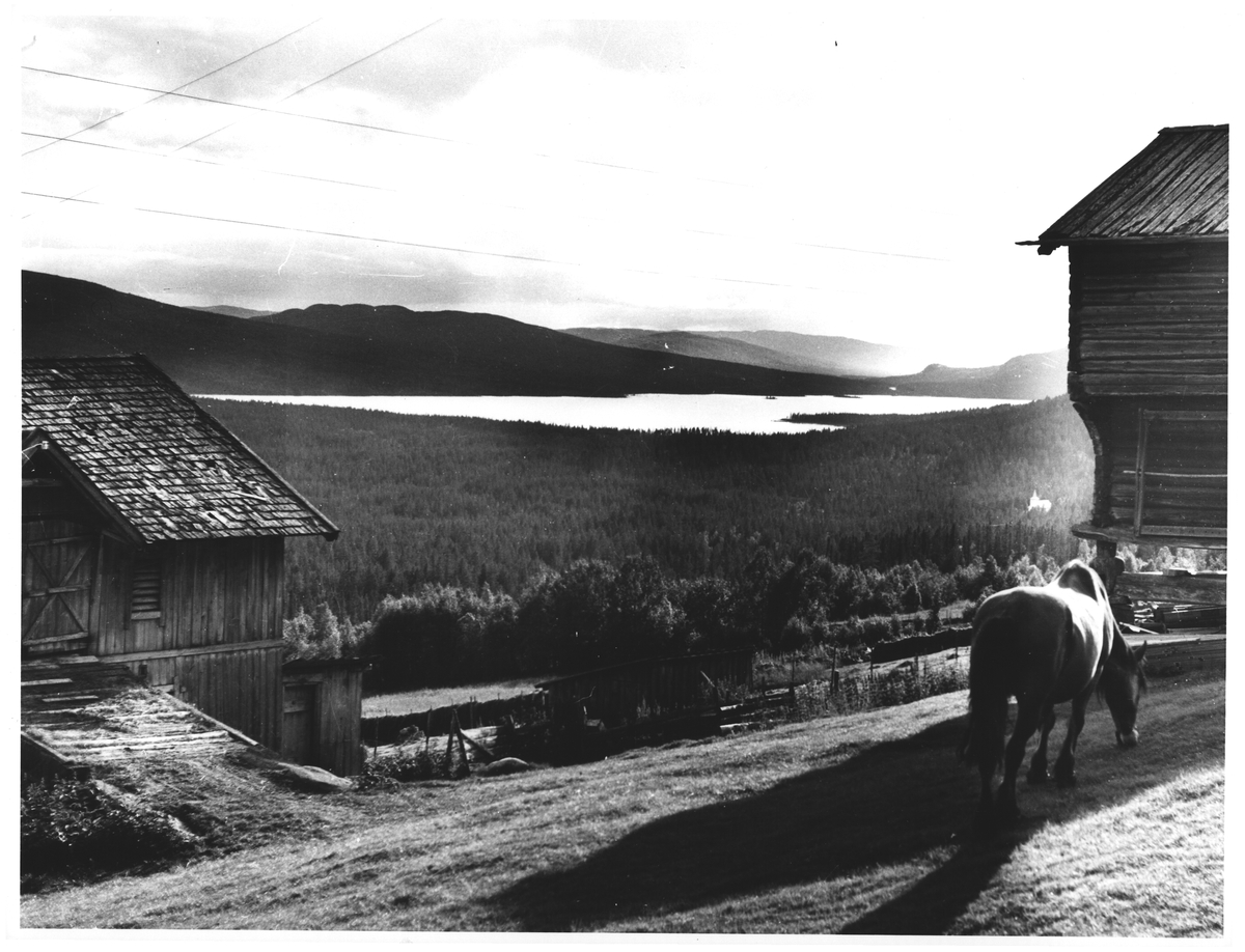 Tunhovd, mot Pålsbufjorden