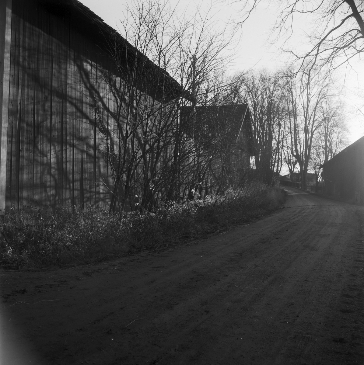 Kungsgården 1, Uppsala 1956