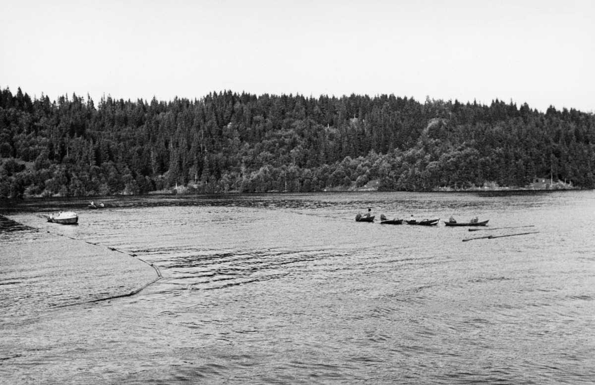 Sluttrensk i nærheten av Svanfossen i elva Vorma i Fenstad i Nes kommune i Akershus sommeren 1936. Vi skimter fløtere i arbeid fra seks båter - en motorisert varpebåt og fem robåter. Karene hadde lenket sammen tømmerstokker til et flytende stengsel, ei oppsamlingslense som lå som en diger U på vannspeilet etter hvert som båtene beveget seg medstrøms langs elvebreddene med lensa mellom seg.