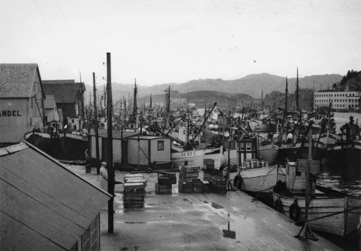 Steinbryggen med sildekasser og skøyter. Fra sildefisket, februar 1939.