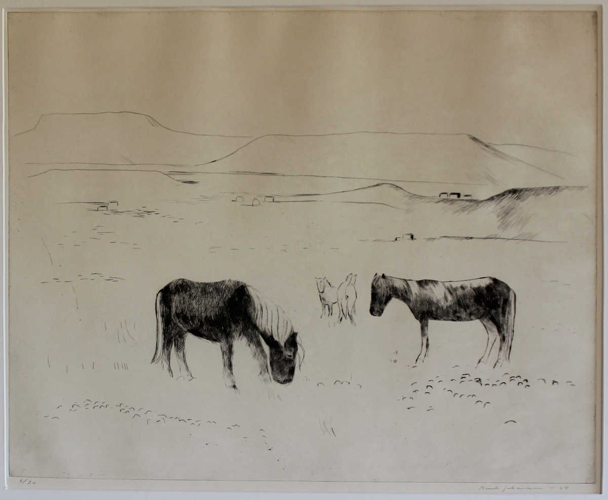 Landskap med hästar,Island [Gravyr]