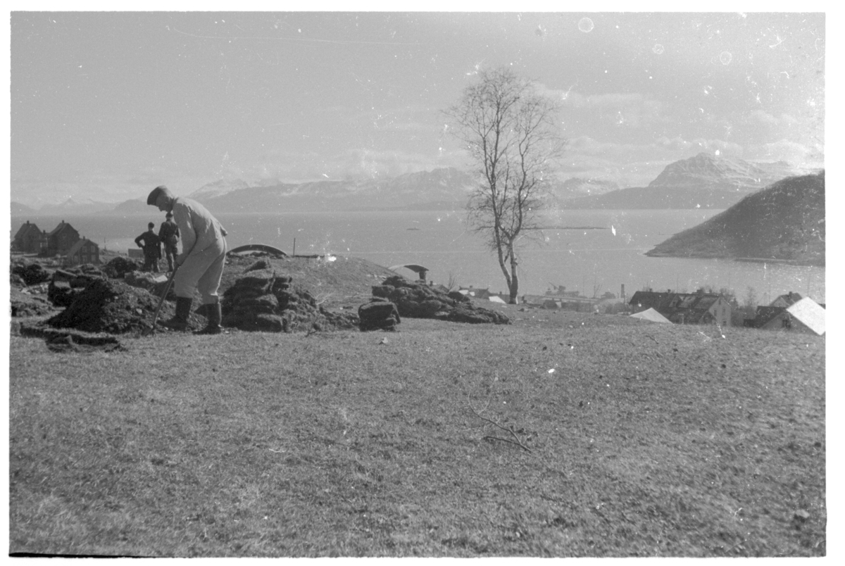 Tyske soldater graver stillinger i Harstadåsen.