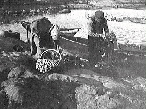 En kvinna och en man som samlar ihop fiskeredskap på en bergknalle intill båtar i en havsvik.
(Se även bildnr VMA6718_7)