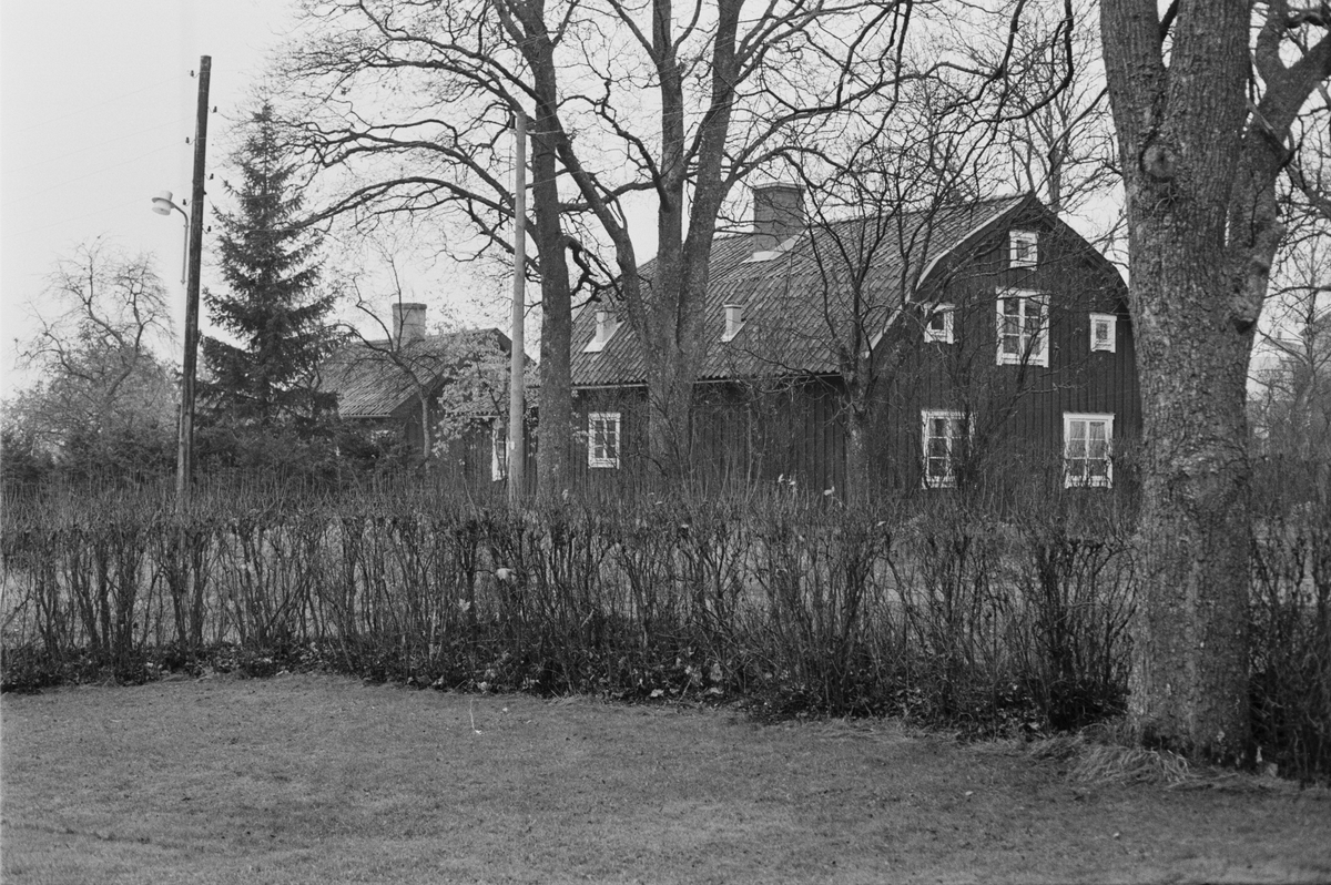 Källarstuga och bostadshus, Norrby 1:2, Vaksala socken, Uppland 1978