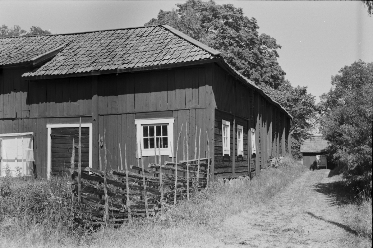 Ladugård och loge, Ekeby 6:1, Ekeby by, (tomt 5), Vänge socken, Uppland 1975