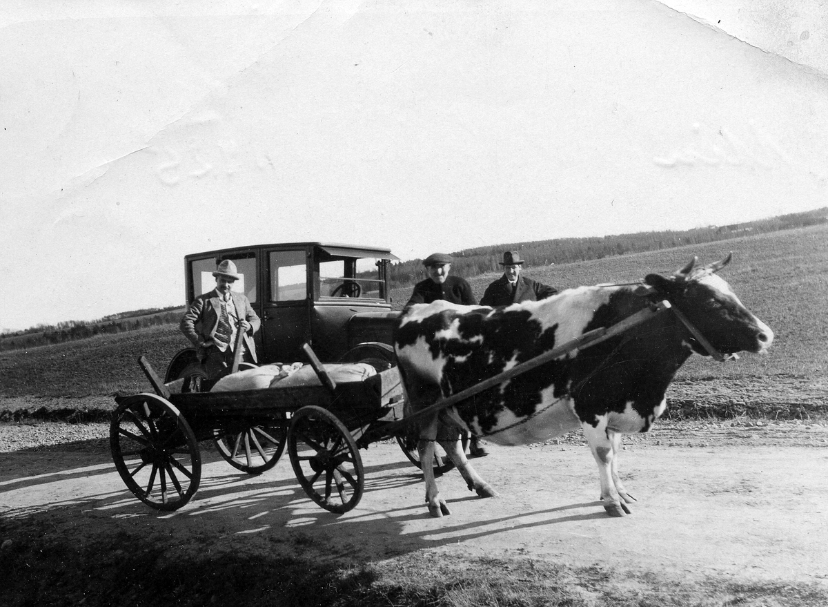 Snöstorps sn. Alebolet. 
Text till foto 1: Petter Persson, mannen i mitten är ägare till kon.
Text till foto 2: Min första bil (1925).