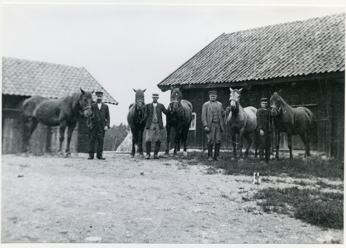 Ängsö sn, Västerås kn, Stora Långhomen.
Uthus på Storgården med män och hästar, c:a 1903.