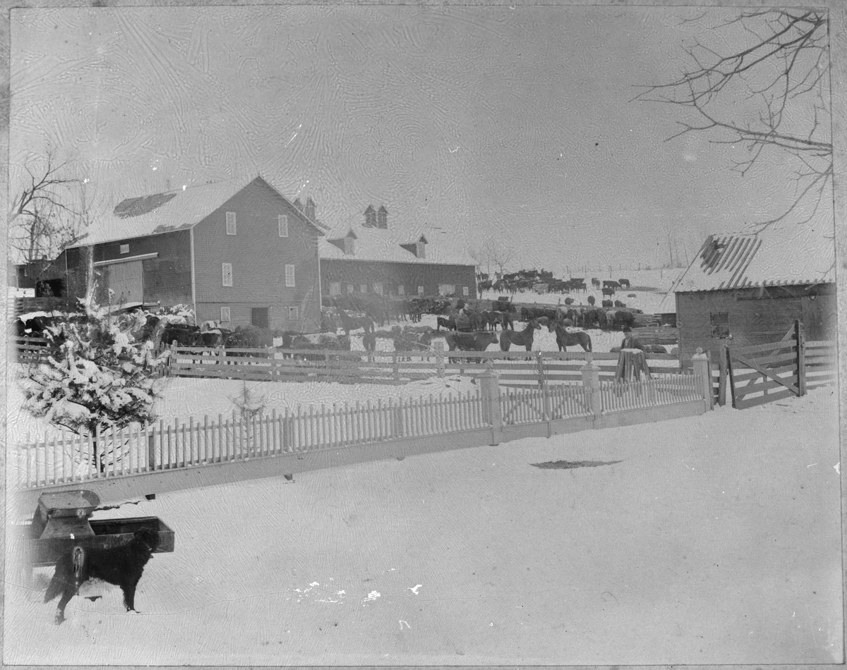 Knut H. Vik sin farm i Vermillion, Sør-Dakota, USA, ca. 1900.