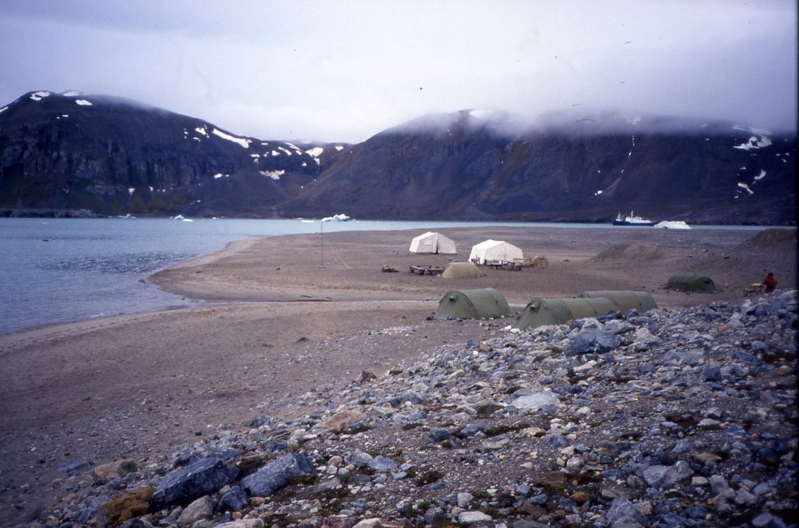 Sju tält på en strand, möjligen Blomstrandhalvöya. I bakgrunden ligger ett turistfartyg.
