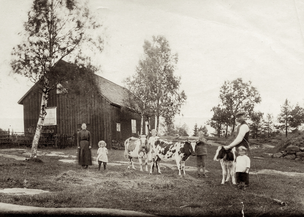 En familj och några kor står framför en byggnad, troligtvis i Kållered, okänt årtal. 
Samma foto är hittat i två album, både från Vommedal Västergård "Hanses" och Livered "Majas". Kopplingen är oklar.