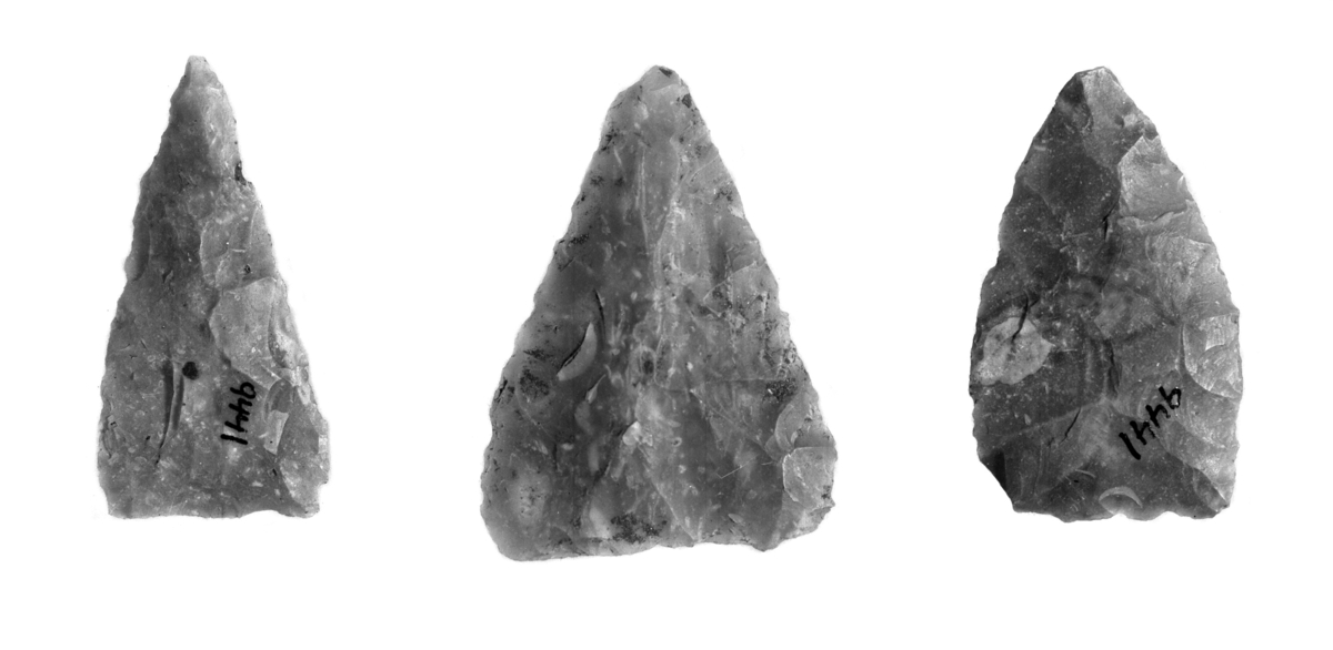 Depotfunn av flint, tre triangulære pilespisser. To av dem er nærmest som GJESSING: Rogalands stenalder, fig. 189, den tredje har mer avrundete langsider, som l. c. fig. 191, men mangler typeeksemplarets innbuete basis. Alle er hele og av samme slag gråbrun flint. Lengde 5,1, 4,8 og 4,7 cm, største bredde henholdsvis 3,7, 2,5 og 2,8 cm. Fig. 13. Funnet på Ytre Vårdal, Holmedal s., Fjaler p., Sogn og Fjordane, gnr. 2, bnr. 2, for 5-6 år siden. Alle pilespissene lå på samme sted, og det var opprinnelig i hvert fall to til, men de er no bortkommet. Dybden under jordoverflaten var bare 4-5 tommer. Finnestedet er i en flat åker, ikke langt fra sjøen og bare i noen få meters høyde o. h. Innbrakt av SJØVOLD