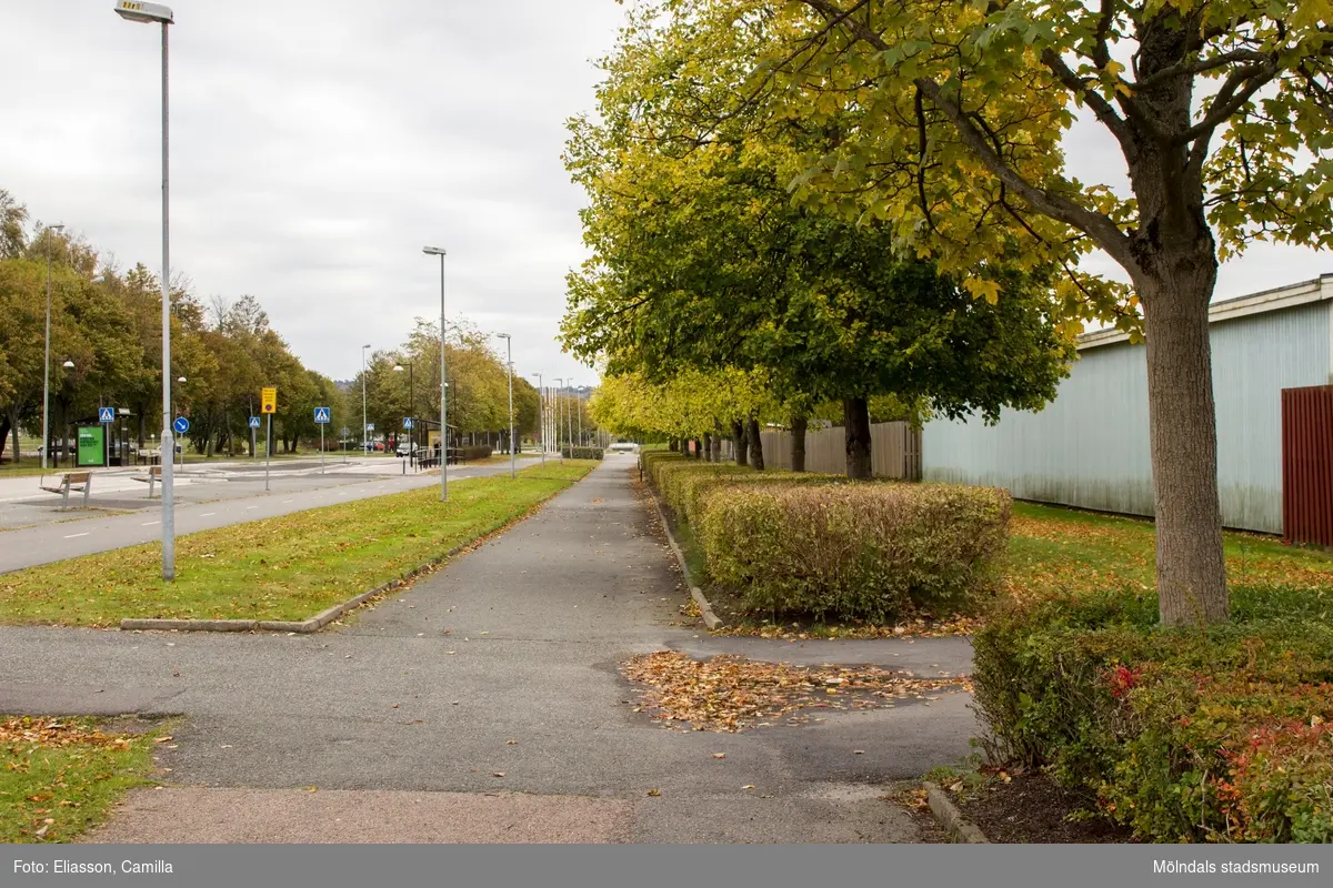 Idrottsvägen vid Åby Fritidscentrum i Åby, Mölndal, den 11 oktober 2016. Vy österut från gångvägen till höger om cykelbanan och bilvägen.